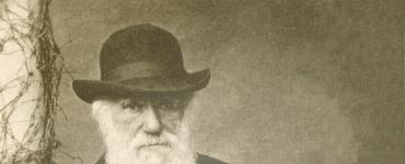 Эволюционное учение. Эволюционное учение Ч. Дарвина. Его основные положения и значение Проанализируйте эволюционное учение ч дарвина